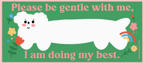 Please Be Gentle Bumper Magnet