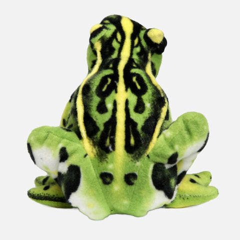 Frisco the Frog