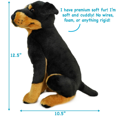 Ronin the Rottweiler