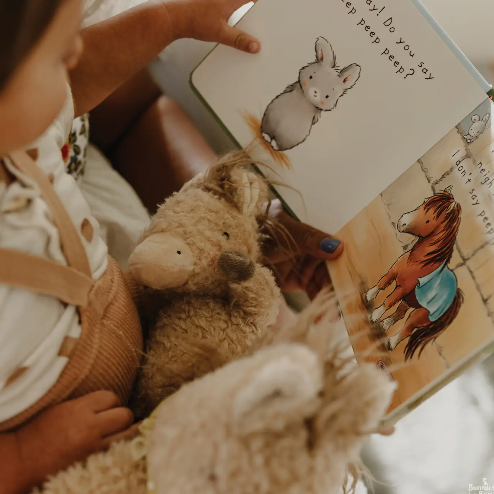 Wee Pony Boy the Horse