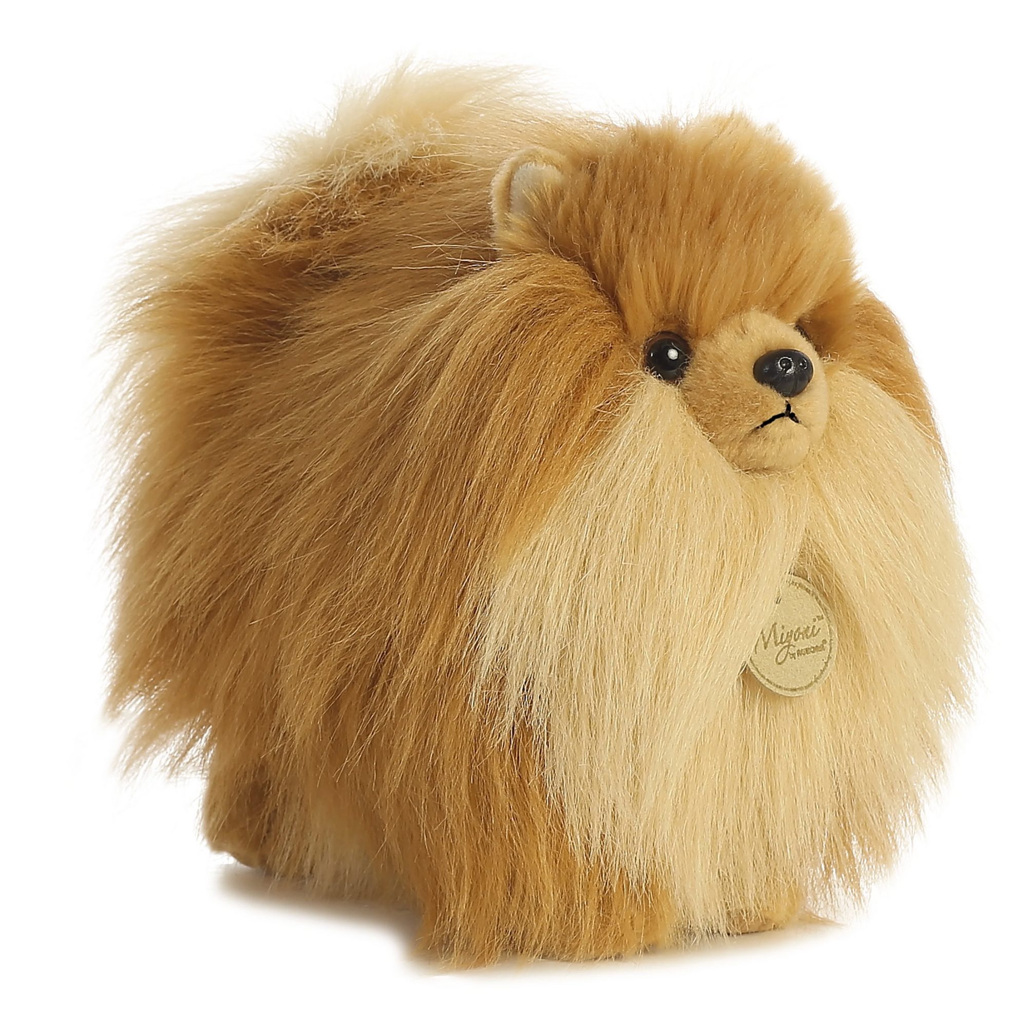Miyoni- 9" Pomeranian