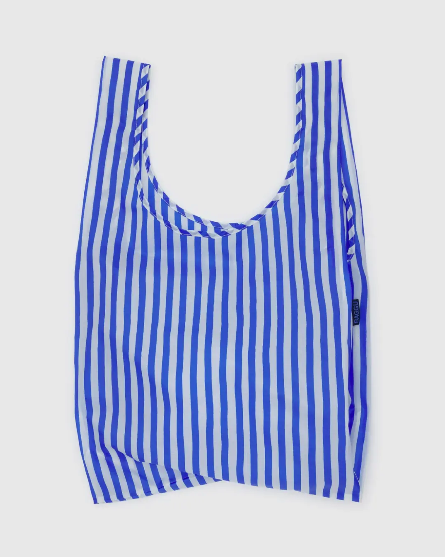 Standard Baggu - Blue Painted Stripe