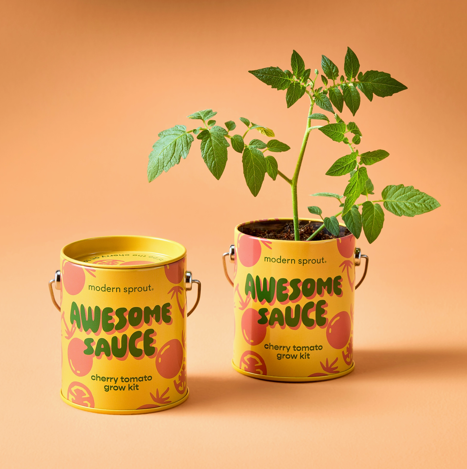 Modern Sprout Grow Kits