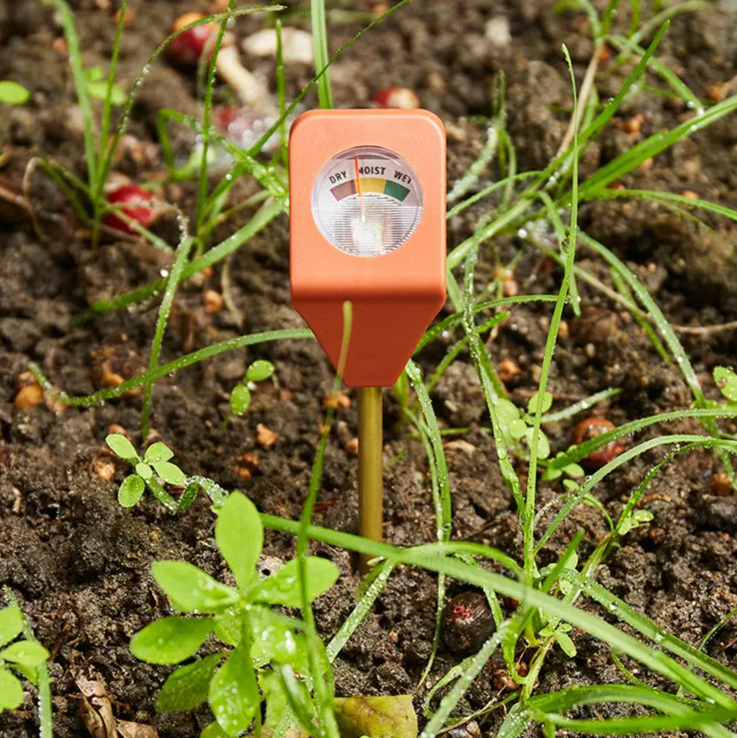 Garden Hydrometer - Stay Forever