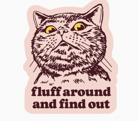 Funny Cat High Quality Vinyl Sticker