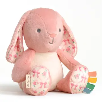 Sweetie Snuggles Plush Pink Bunny