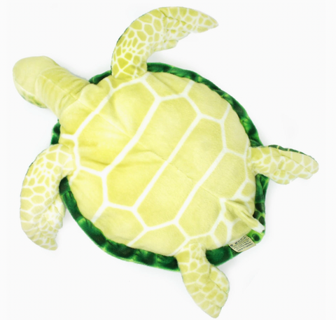 Olivia the Hawksbill Turtle