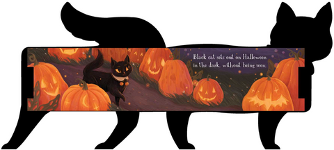 One Black Cat