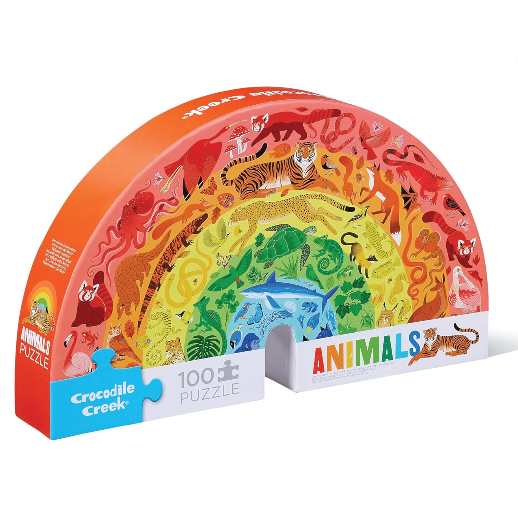 100 Pc Shaped Box Rainbow Animals