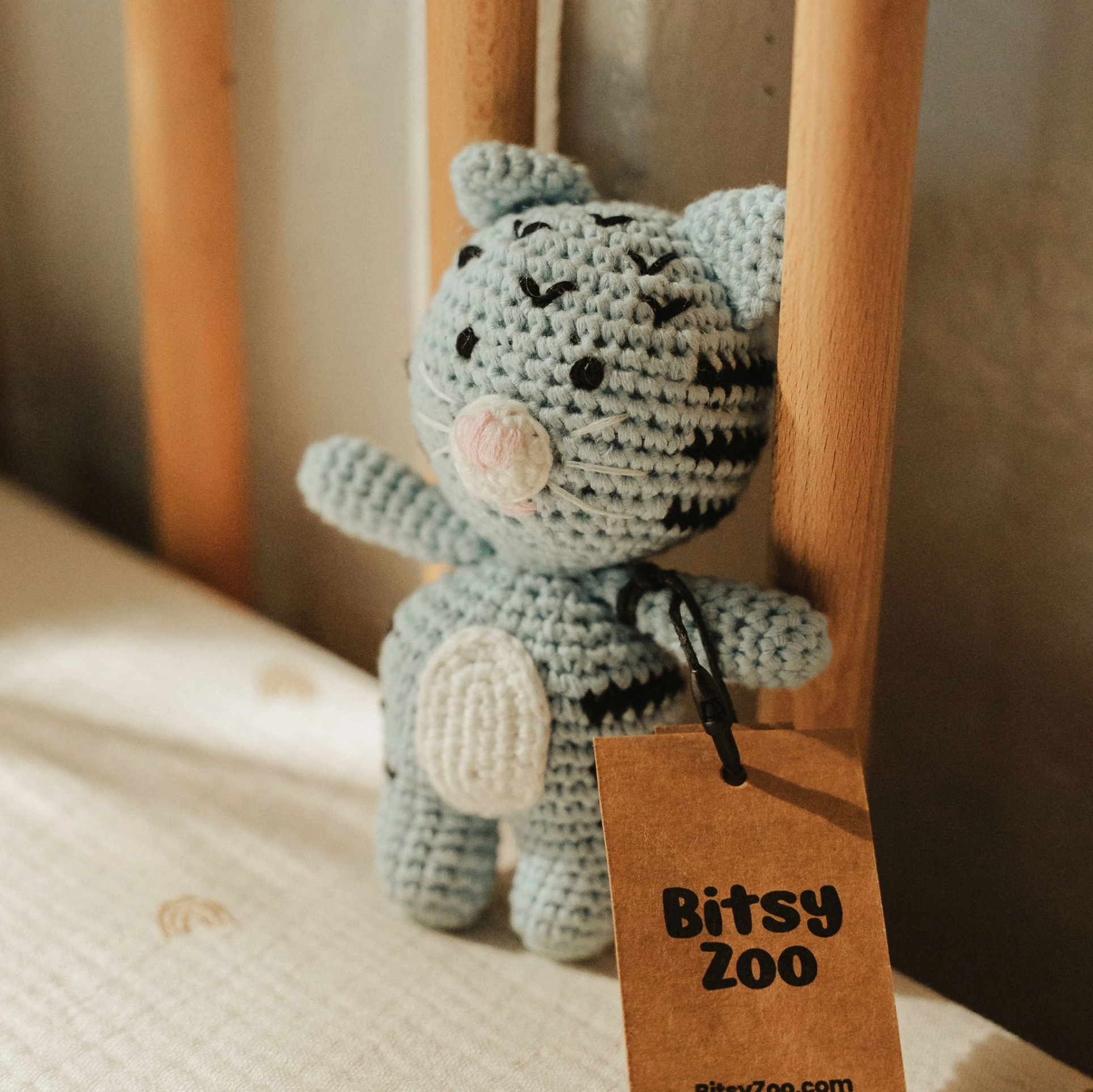 Stella the Spitty Kitty