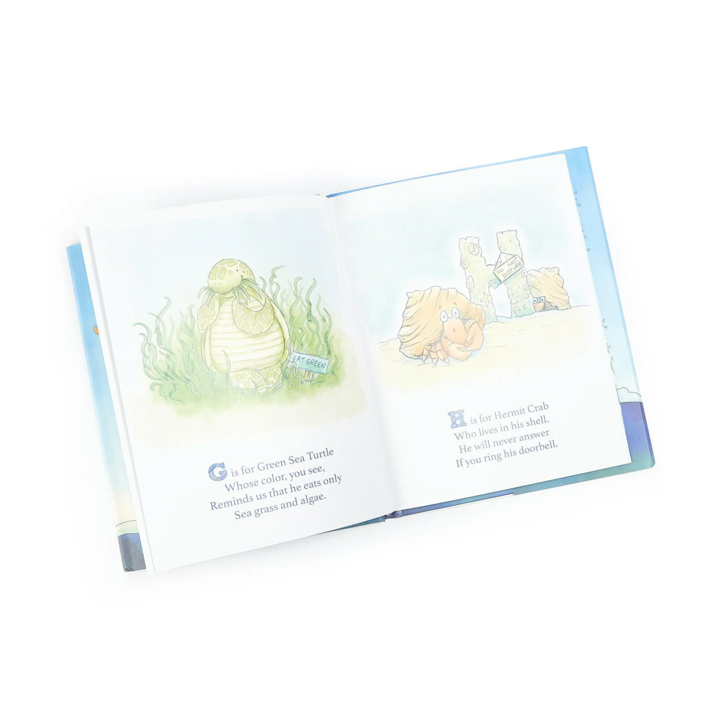 Avery the Aviator Explores the Sea A To Z Story Book