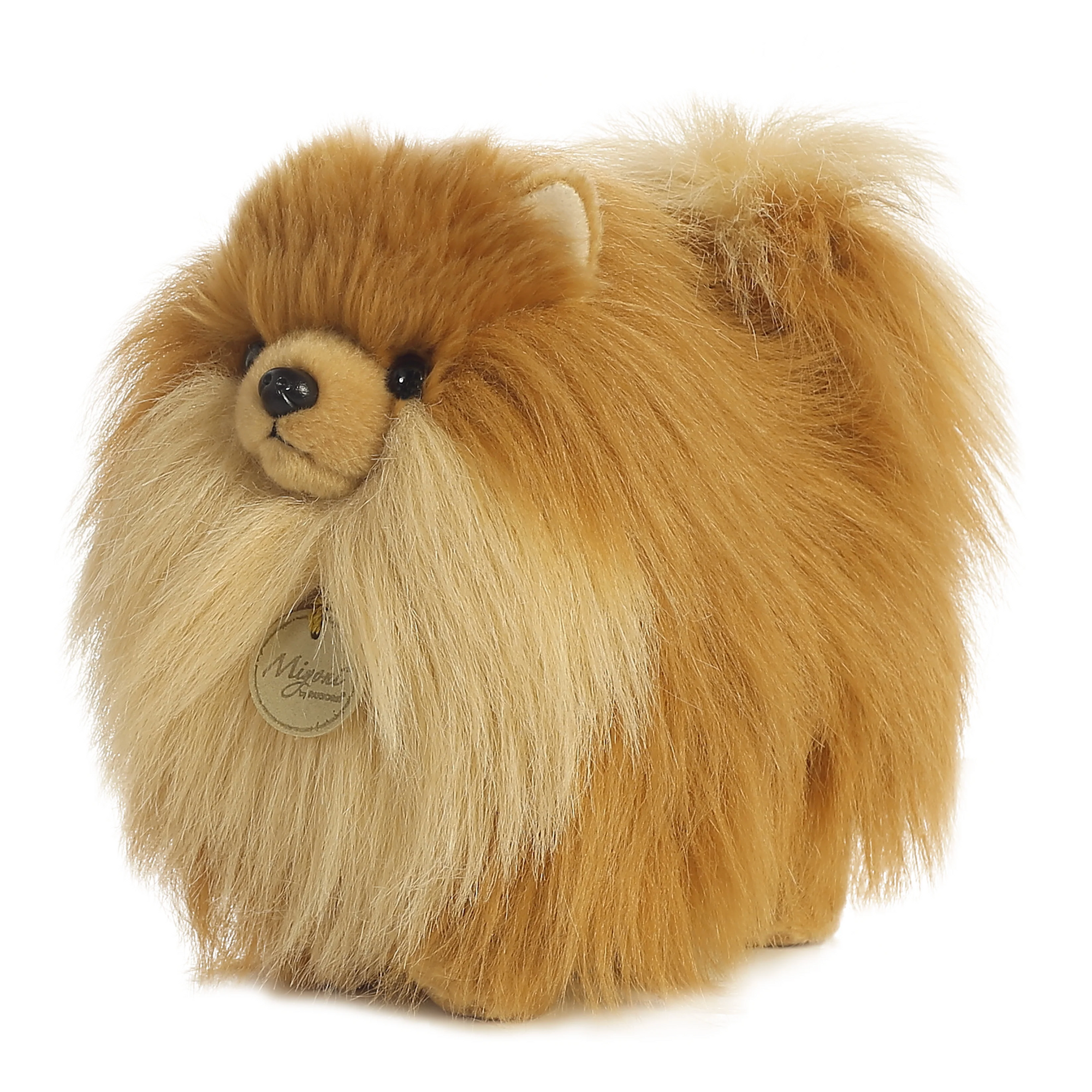 Miyoni- 9" Pomeranian