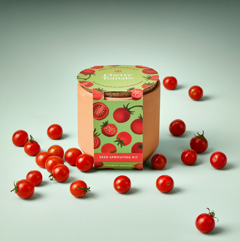 Tiny Terracotta Garden Kit Cherry Tomato