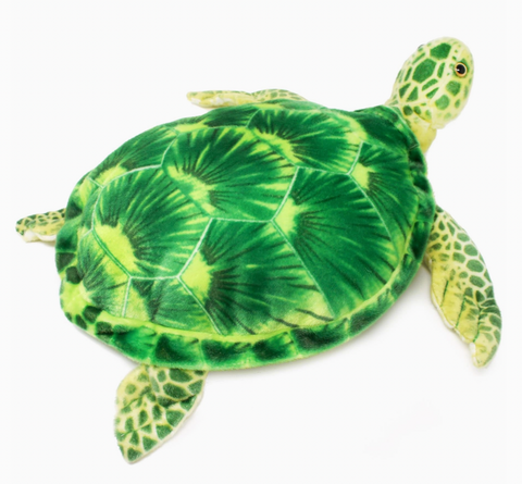 Olivia the Hawksbill Turtle