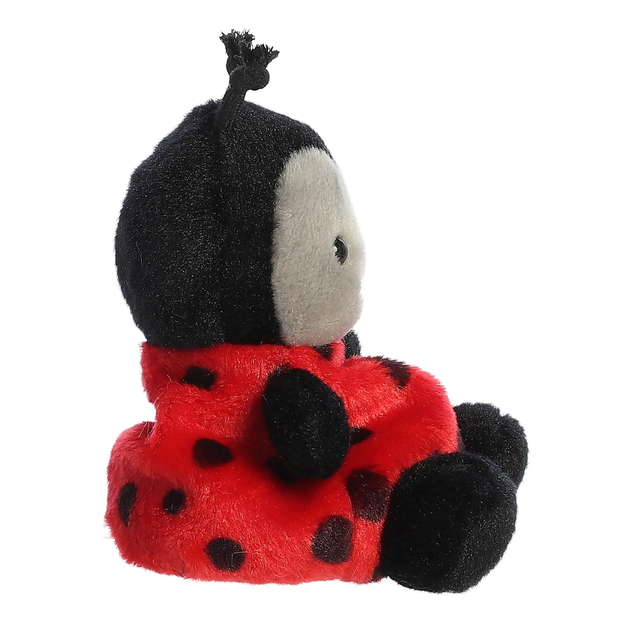 5" Lil Spots Ladybug
