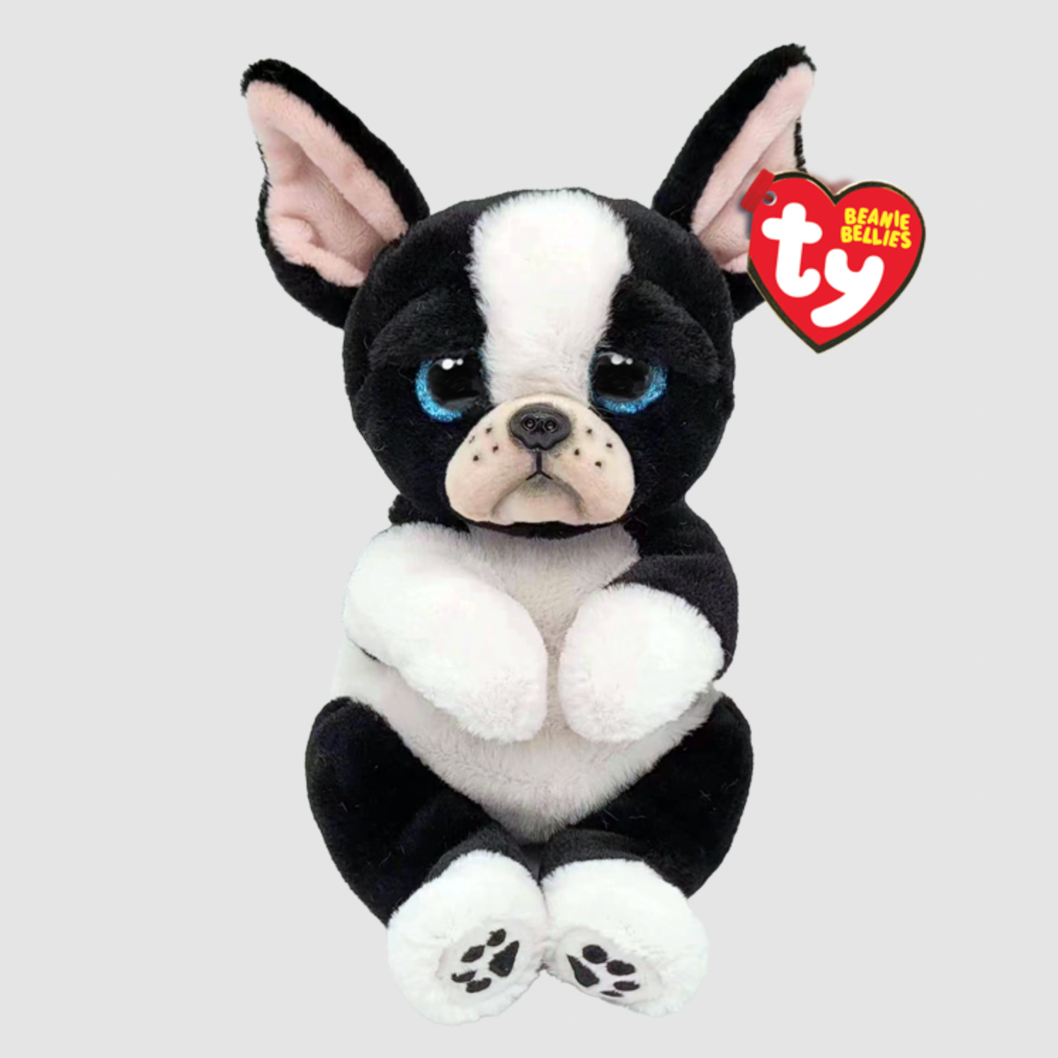 TINK - Dog Black / White Belly