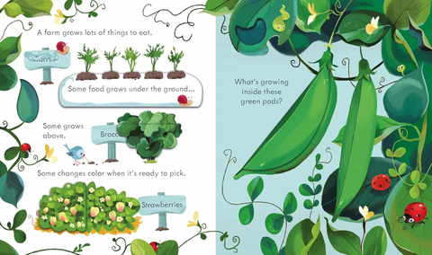 Peek Inside the Farm