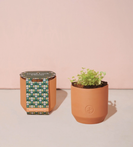 Tiny Terracotta Good Luck Clover - Stay Forever