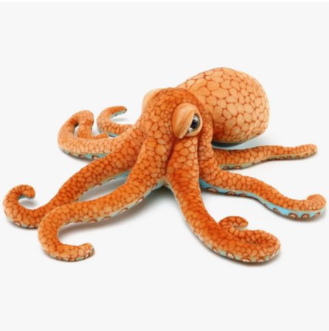 Olympus The Octopus