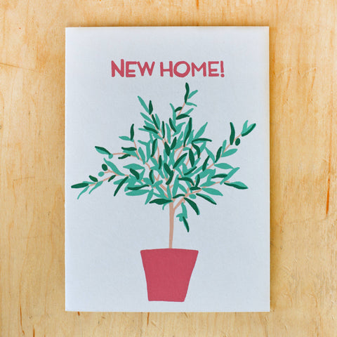 New Home Olive Tree