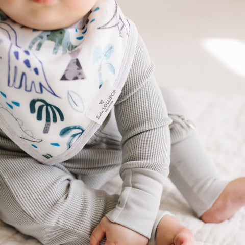 Bandana Bib Set - Dinosaurs