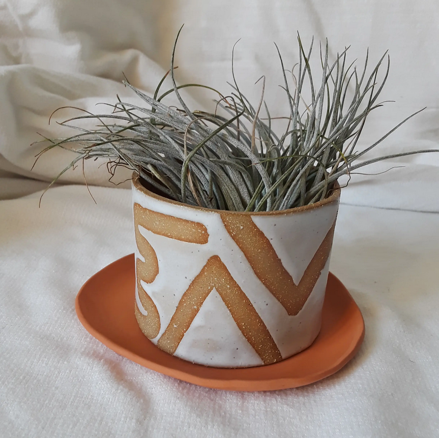 Curious Clay | Desktop Planter
