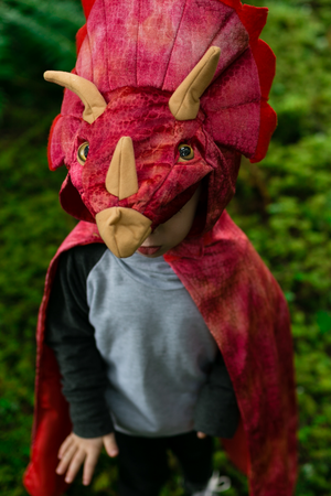 Triceratops Hooded Dinosaur Cape, Size 4-5