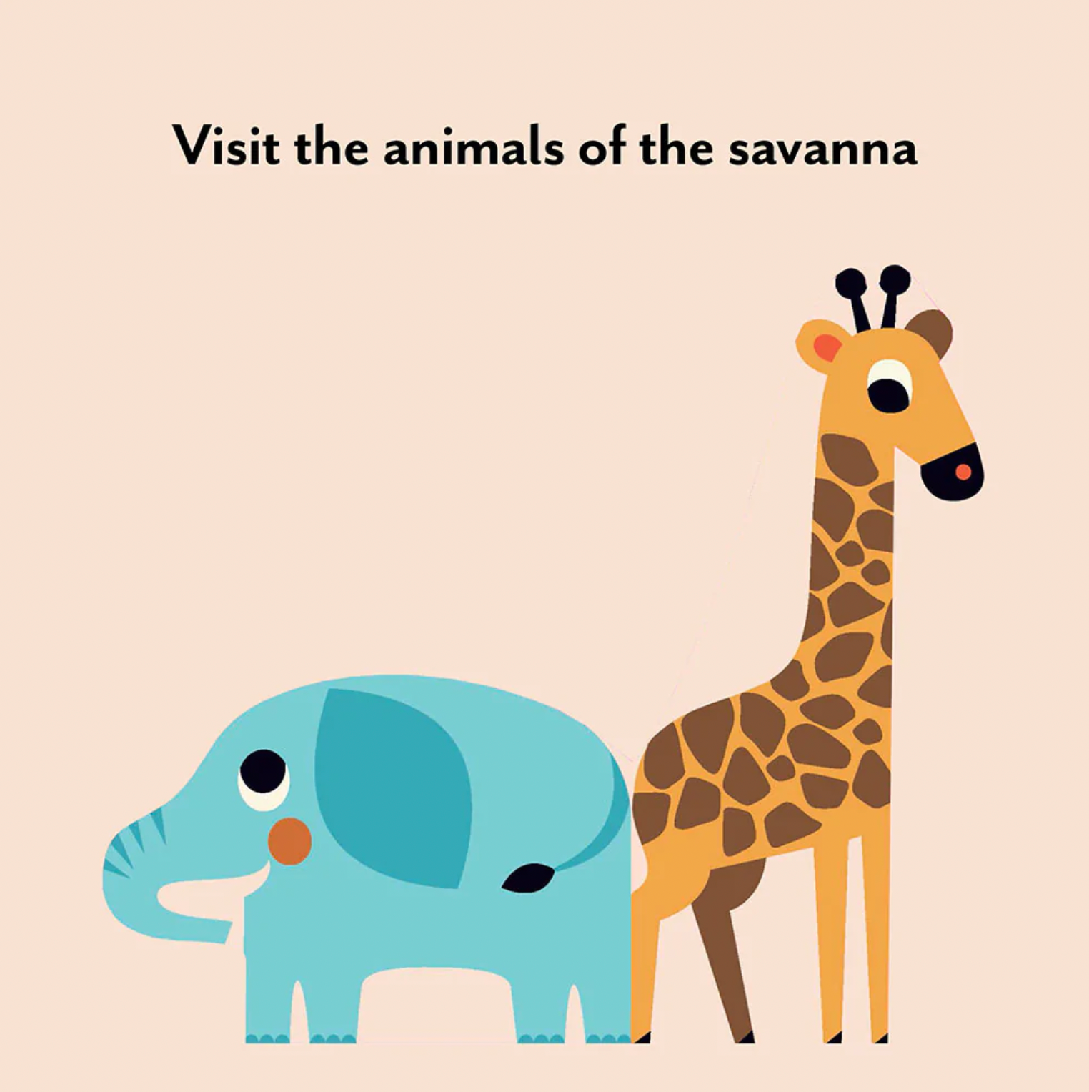 Bookscape Board Books: Wild Animals