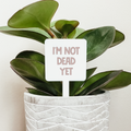 I'm Not Dead Yet Plant Marker