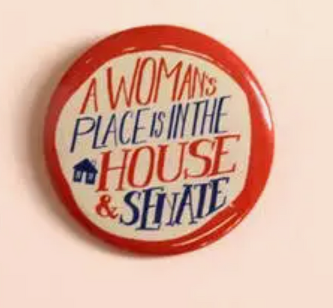 Votes For Women Magnet: House and Senate