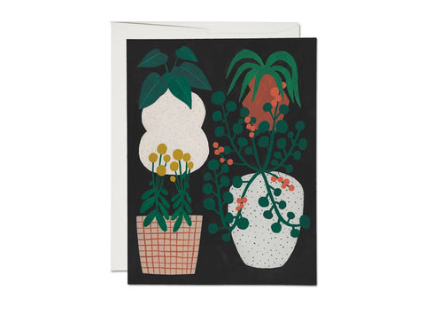 Indoor Plants