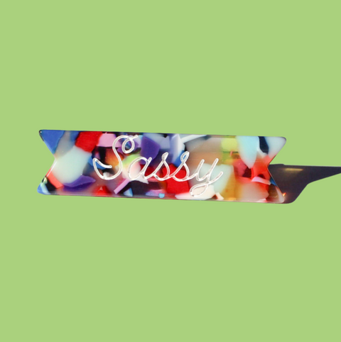 Sassy Hair Clip