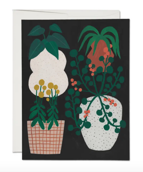 Indoor Plants (Boxed set of 8)