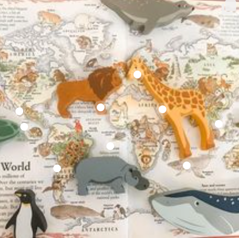 Safari Set - Giraffe