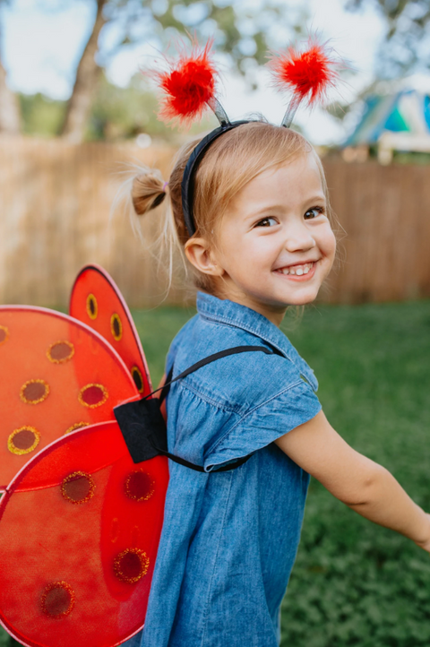 Ladybug Wings & Handband