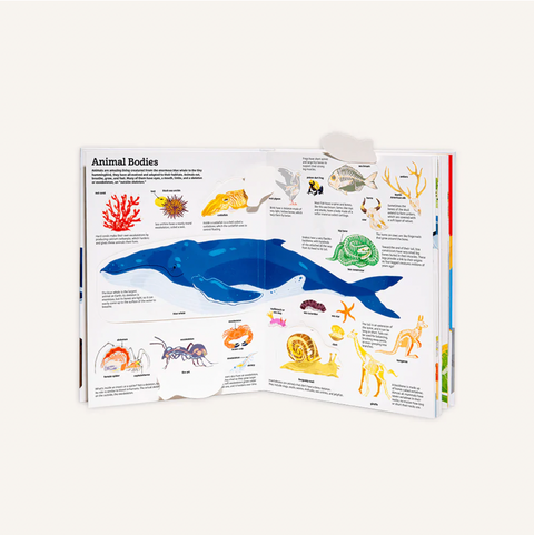 The Ultimate Book of Animals