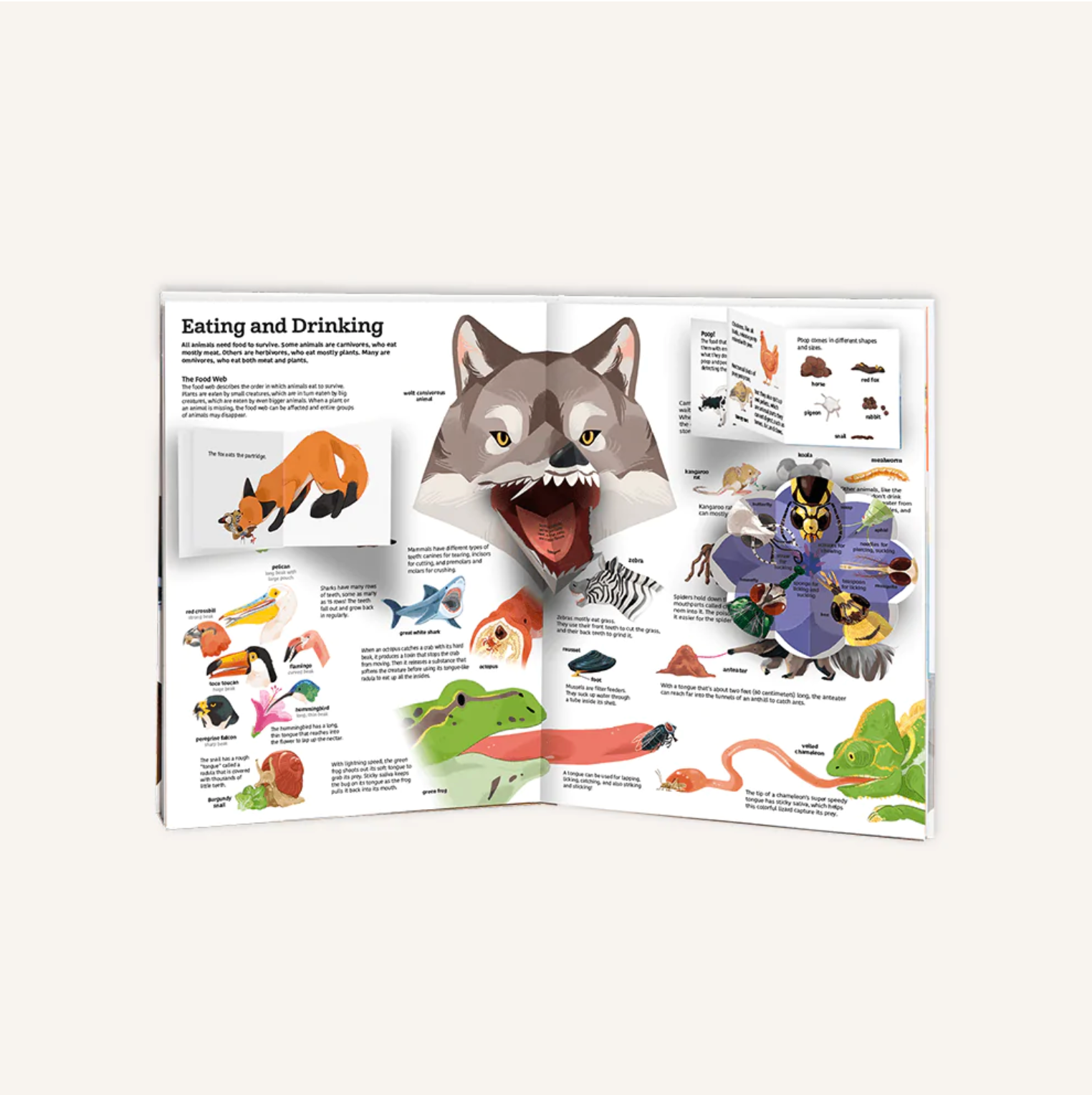 The Ultimate Book of Animals