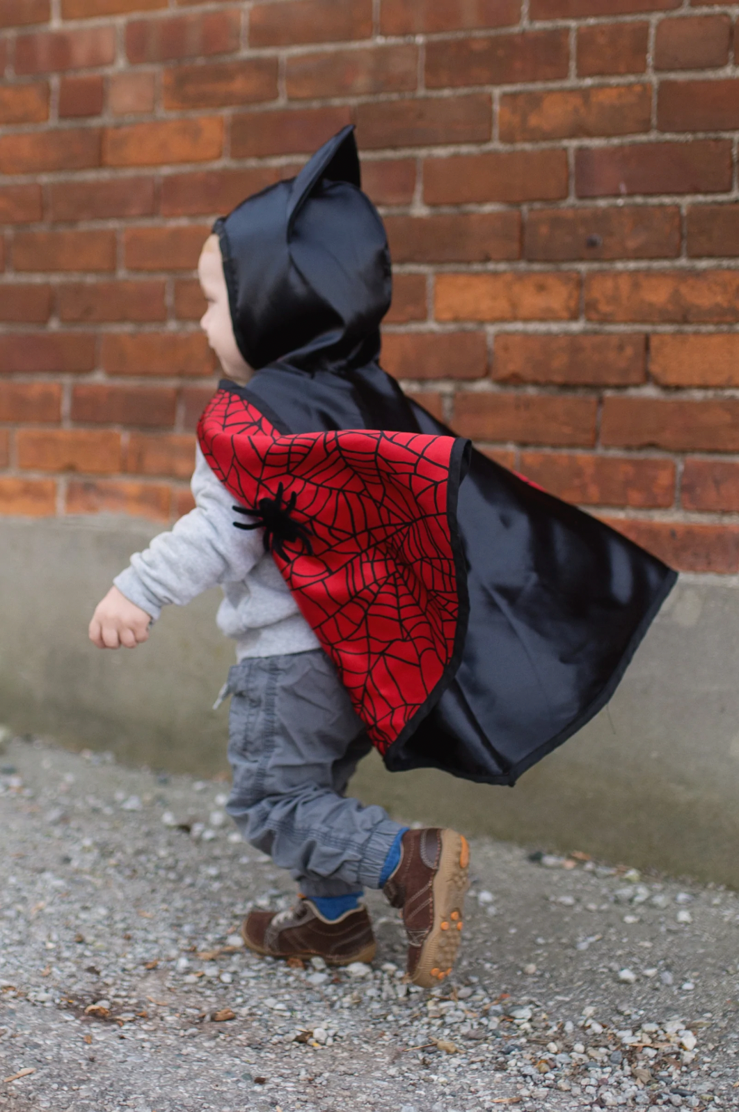 Reversible Spider/Bat Cape & Mask