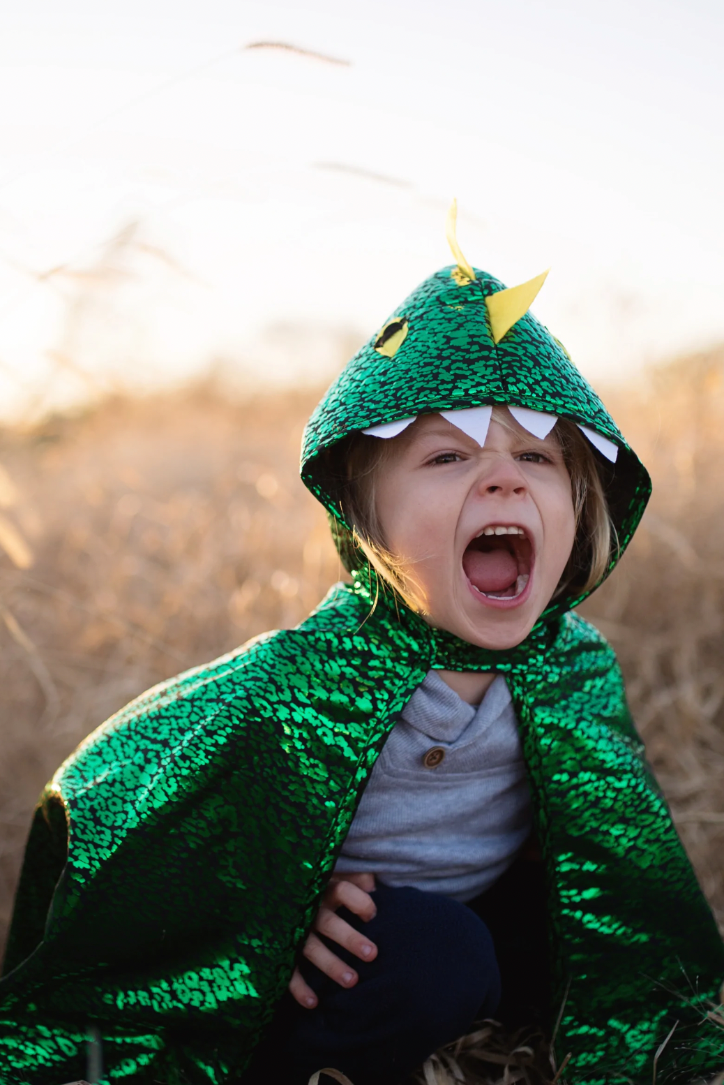 Toddler Dragon Cape Green Metallic, Size 2-3T