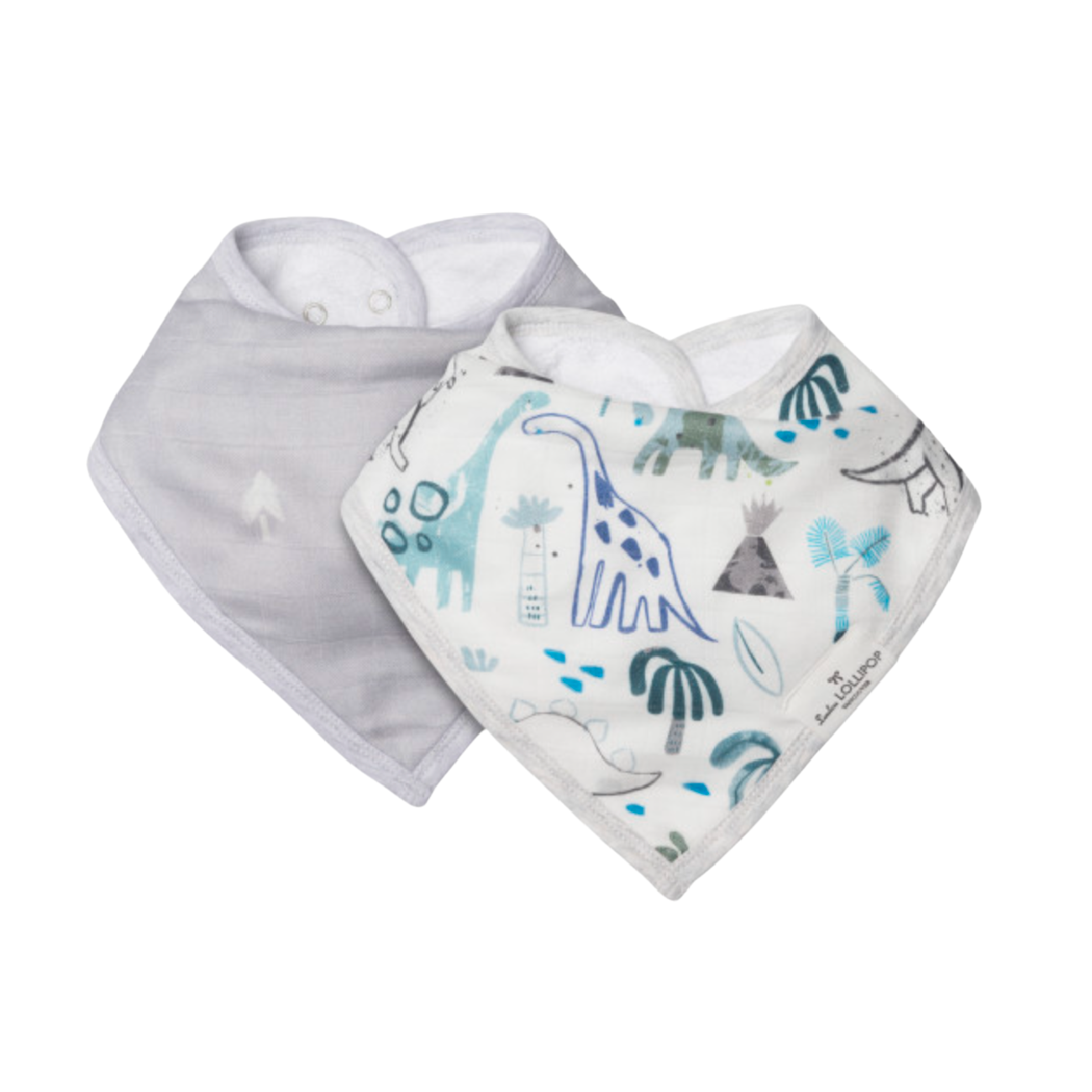 Bandana Bib Set - Dinosaurs