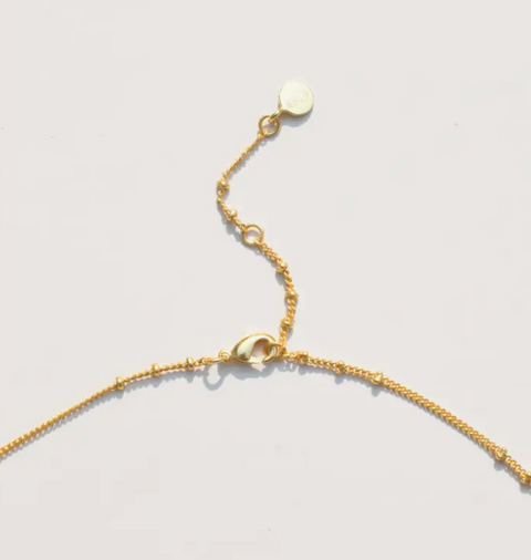 Satellite Chain