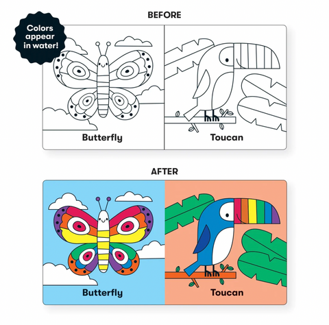 Wild Rainbow Color Magic Bath Book