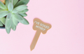 Tuff Talkin' Plant Stakes