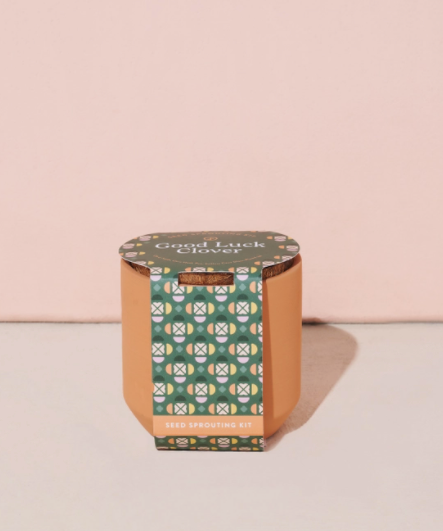Tiny Terracotta Good Luck Clover - Stay Forever