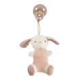 Natural Rubber Pacifier & Stuffed Bunny