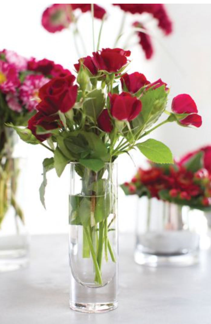 Fat Cylinder Vase 2 x 6" Clear