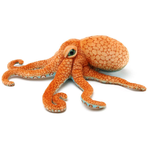 Olympus The Octopus