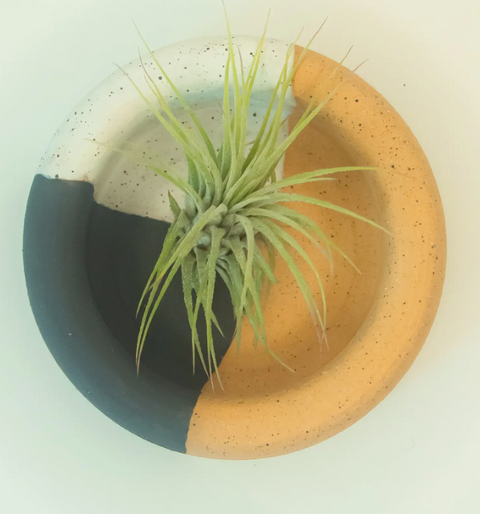 Trinket Dish