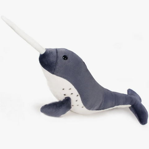 Noel The Narwhal
