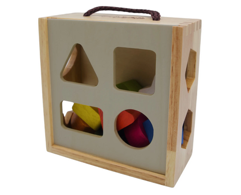 Shape Sorter on the Go